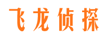 渑池寻人公司